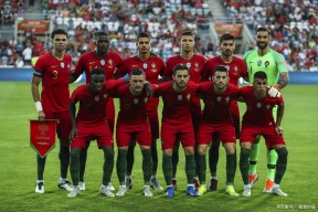 YY体育-葡萄牙凭C罗进球淘汰克罗地亚，晋级欧洲杯半决赛的简单介绍